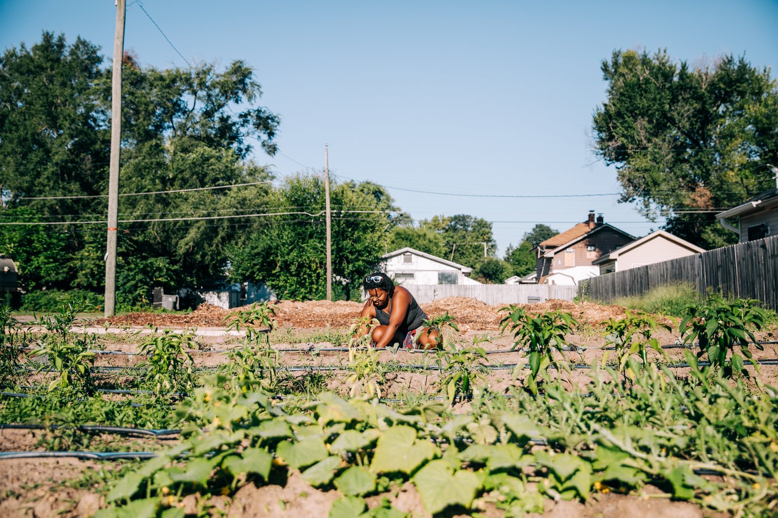Soul Food Project